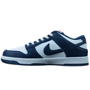 Nike Dunk SB Low Retro "Valerian Blue"