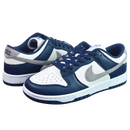 Nike Dunk Low Silver Blue