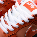 CONCEPTS x Nike SB Dunk Low Pro "Orange Lobster"