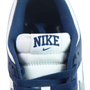 Nike Dunk Low Silver Blue