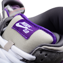 Nike Dunk Low Pro SB "Purple Pigeon"