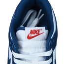 Nike Dunk SB Low Retro "Valerian Blue"