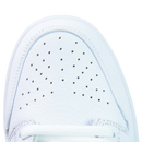 Nike Dunk Sb Low Pro ''Iso White Gum''