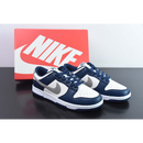 Nike Dunk Low Silver Blue
