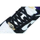 Nike Dunk Low ''World Champs''